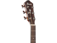 Ibanez AEG220-LGS Ibanez AEG220-LGS